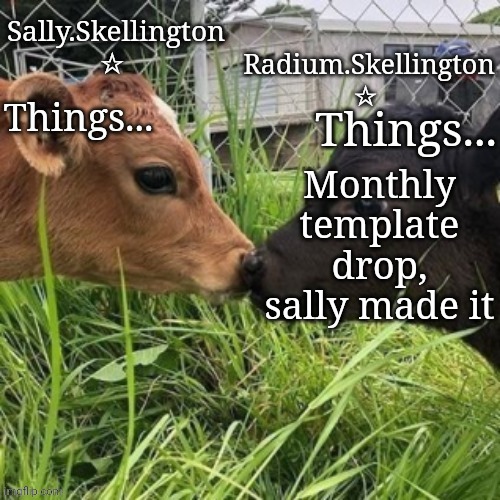 Radium and Sally temp | Monthly template drop, sally made it | image tagged in radium and sally temp | made w/ Imgflip meme maker