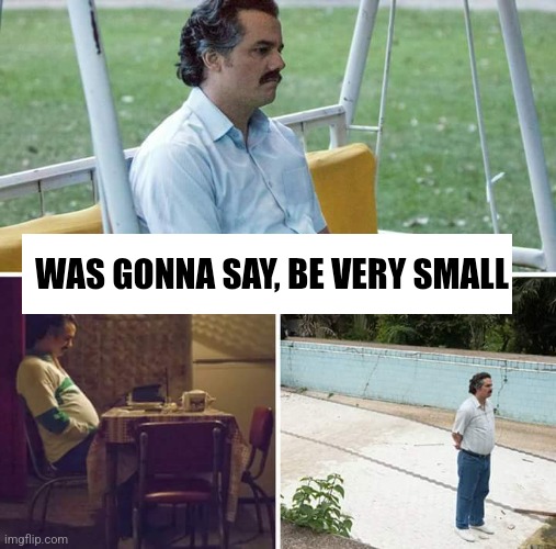 Sad Pablo Escobar Meme | WAS GONNA SAY, BE VERY SMALL | image tagged in memes,sad pablo escobar | made w/ Imgflip meme maker