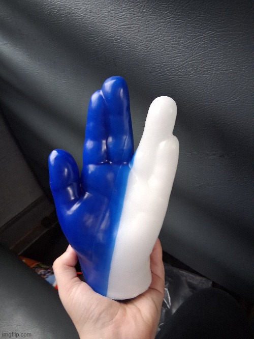 Got my hand turned into wax at Dollywood. Totally didn't cost 30 bucks- | made w/ Imgflip meme maker