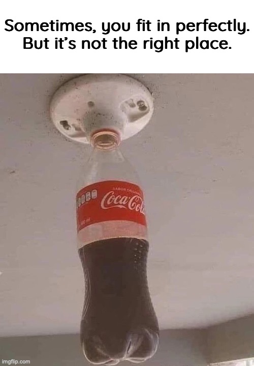 Electrolyzed Coca Cola, anyone? I mean, that’s a yes from me. | Sometimes, you fit in perfectly. But it’s not the right place. | image tagged in memes,funny,coke,missing light bulb,quotes,energy drink | made w/ Imgflip meme maker