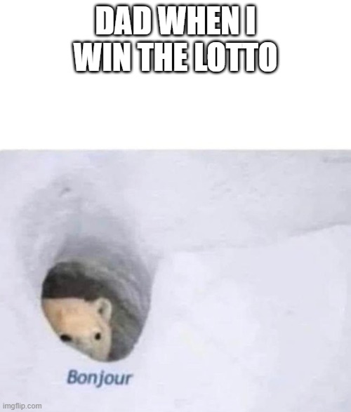 Me | DAD WHEN I WIN THE LOTTO | image tagged in bonjour | made w/ Imgflip meme maker