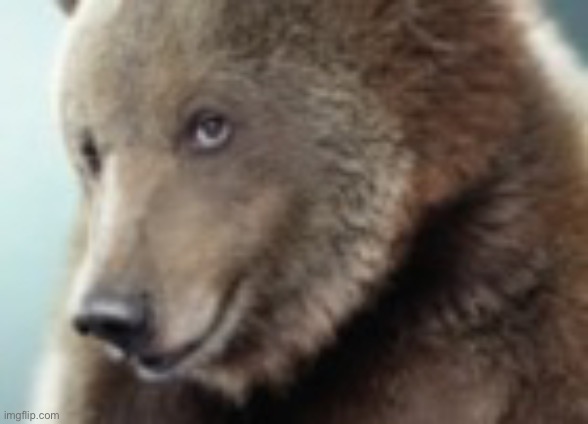 Bear | made w/ Imgflip meme maker