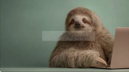 High Quality slothkam4 Blank Meme Template