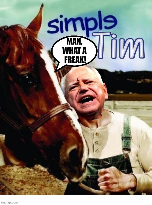 Even the horse knows… | MAN, 
WHAT A 
FREAK! | image tagged in political meme,tim walz,horse,freak | made w/ Imgflip meme maker