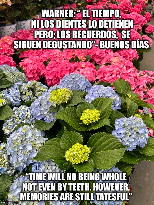 Trump | WARNER: “ EL TIEMPO,  NI LOS DIENTES LO DETIENEN PERO; LOS RECUERDOS,  SE SIGUEN DEGUSTANDO”- BUENOS DÍAS; “TIME WILL NO BEING WHOLE NOT EVEN BY TEETH. HOWEVER, MEMORIES ARE STILL TATESFUL” | image tagged in spanish | made w/ Imgflip meme maker