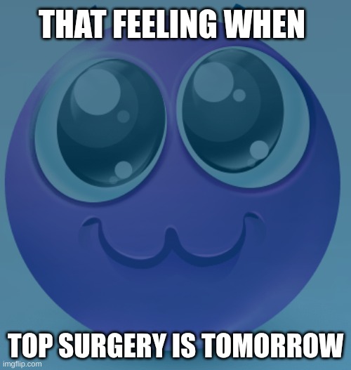 THAT FEELING WHEN; TOP SURGERY IS TOMORROW | made w/ Imgflip meme maker