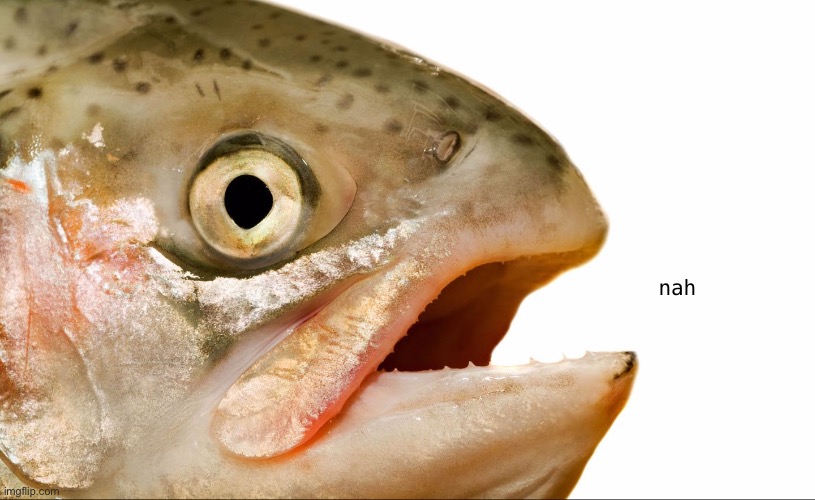 Statement salmon | nah | image tagged in statement salmon | made w/ Imgflip meme maker
