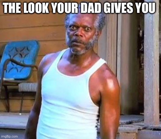 Samuel L Jackson | THE LOOK YOUR DAD GIVES YOU | image tagged in samuel l jackson | made w/ Imgflip meme maker