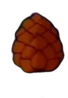 Pinecone Meme Template