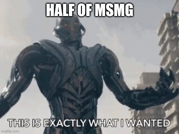 This is exactly what I wanted | HALF OF MSMG | image tagged in this is exactly what i wanted | made w/ Imgflip meme maker