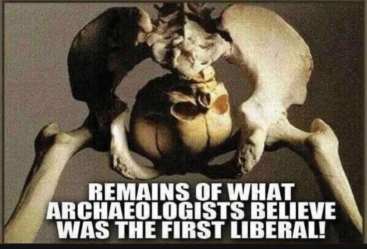 The Archeological Remains Of The First Liberal | image tagged in liberals,libtards,archeology,head up ass,blind as bats,communist socialist | made w/ Imgflip meme maker