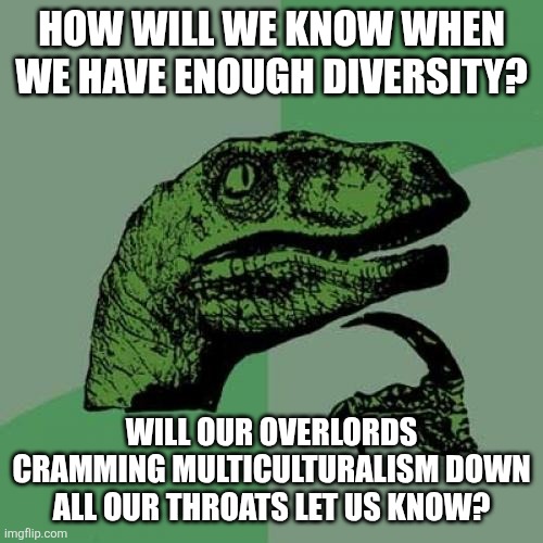 The answer is when whitey is wiped off the face of the earth. | HOW WILL WE KNOW WHEN WE HAVE ENOUGH DIVERSITY? WILL OUR OVERLORDS CRAMMING MULTICULTURALISM DOWN ALL OUR THROATS LET US KNOW? | image tagged in memes,philosoraptor | made w/ Imgflip meme maker