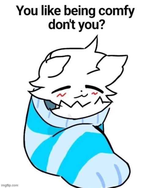 You like being comfy don't you | image tagged in you like being comfy don't you | made w/ Imgflip meme maker