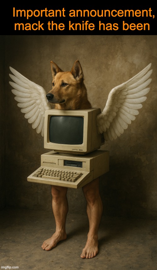 . | Important announcement, mack the knife has been | image tagged in oca monitor canina | made w/ Imgflip meme maker