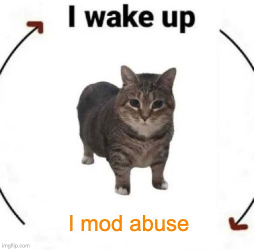 . | I mod abuse | image tagged in i wake up cat | made w/ Imgflip meme maker