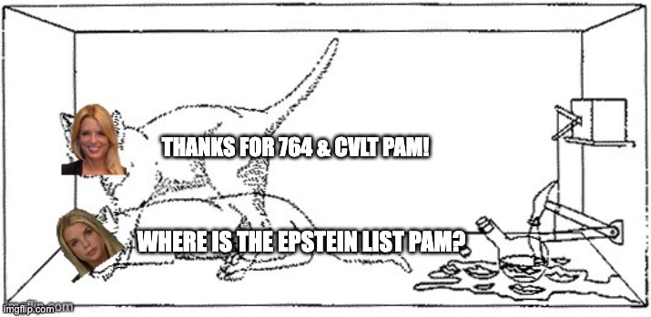 THANKS FOR 764 & CVLT PAM! WHERE IS THE EPSTEIN LIST PAM? | made w/ Imgflip meme maker