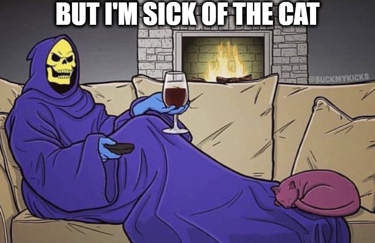 BUT I'M SICK OF THE CAT | made w/ Imgflip meme maker