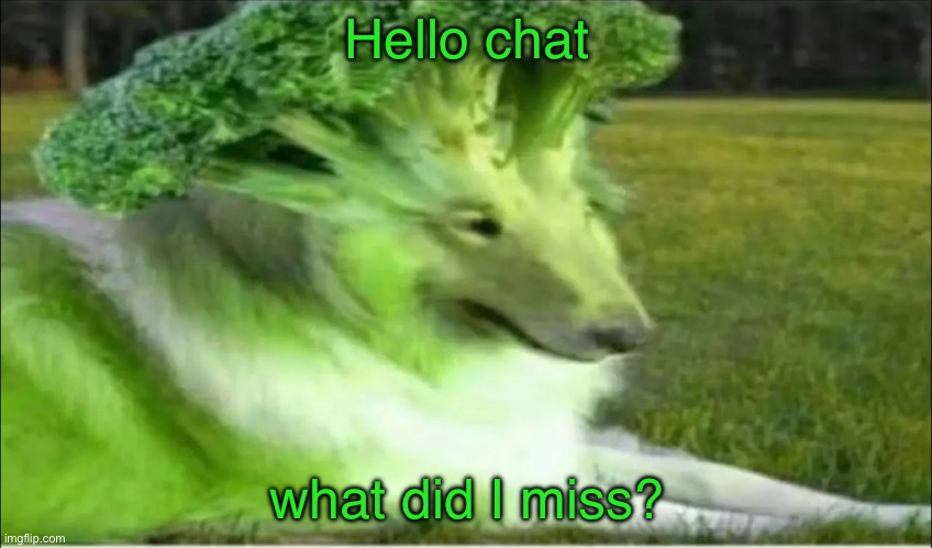 Broco dogo | Hello chat; what did I miss? | image tagged in broco dogo | made w/ Imgflip meme maker