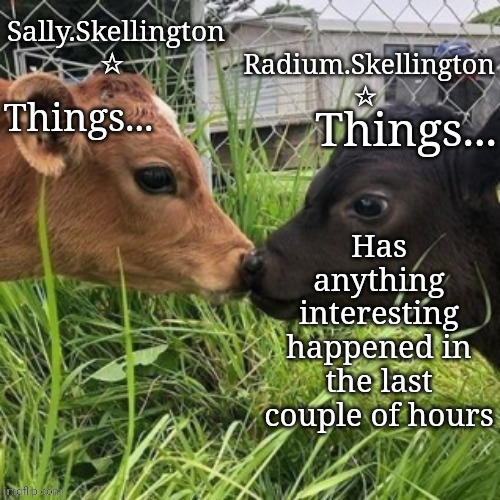 Radium and Sally temp | Has anything interesting happened in the last couple of hours | image tagged in radium and sally temp | made w/ Imgflip meme maker