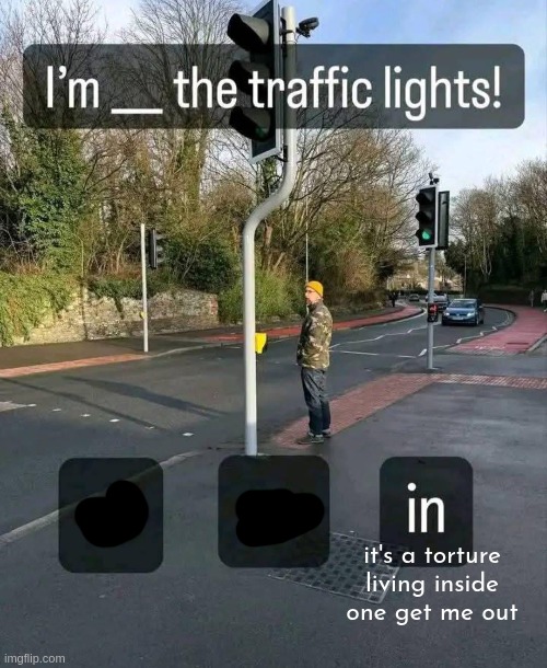 it's a torture living inside one get me out | made w/ Imgflip meme maker
