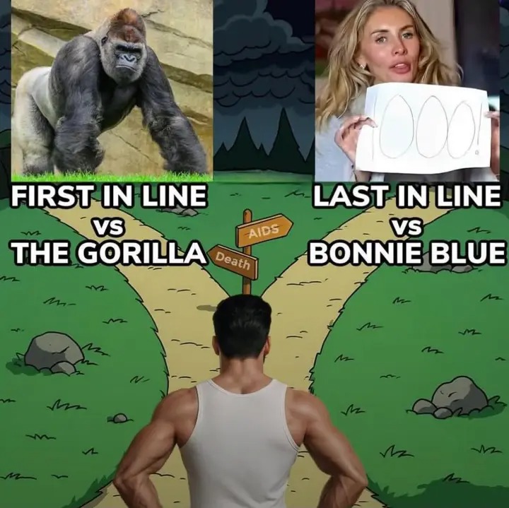 Bonnie Blank Meme Template