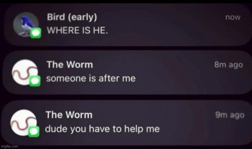 What do I do here chat? | made w/ Imgflip meme maker