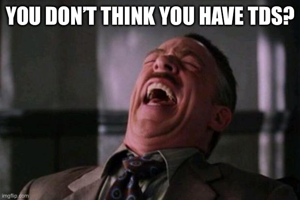 YOU DON’T THINK YOU HAVE TDS? | image tagged in spider man boss | made w/ Imgflip meme maker