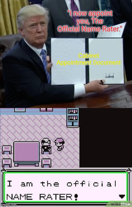 Trump appoints The Name Rater | "I now appoint you, The Official Name Rater."; Cabinet Appointment Document | image tagged in memes,trump bill signing | made w/ Imgflip meme maker