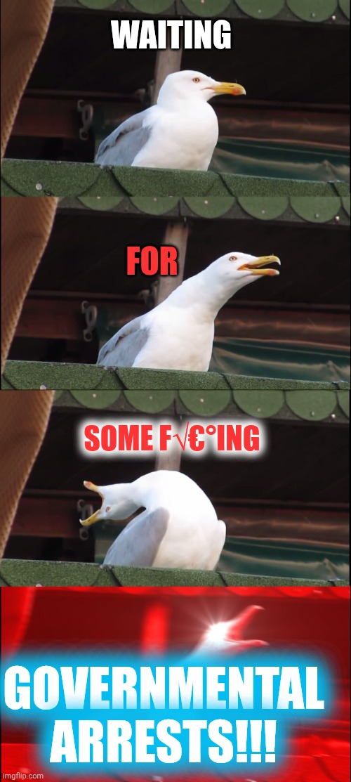 100+ Days: Nobody Has Been Arrested | WAITING; FOR; SOME F√€°ING; GOVERNMENTAL ARRESTS!!! | image tagged in memes,inhaling seagull,government corruption,47 | made w/ Imgflip meme maker