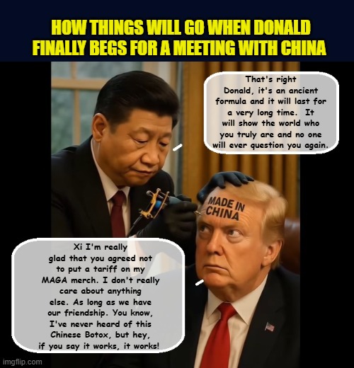 THE ART OF THE DEAL | HOW THINGS WILL GO WHEN DONALD FINALLY BEGS FOR A MEETING WITH CHINA; That's right Donald, it's an ancient formula and it will last for a very long time.  It will show the world who you truly are and no one will ever question you again. Xi I'm really glad that you agreed not to put a tariff on my MAGA merch. I don't really care about anything else. As long as we have our friendship. You know, I've never heard of this Chinese Botox, but hey, if you say it works, it works! | image tagged in donald trump memes,impeach trump,government corruption,made in china,tariffs,trump is a moron | made w/ Imgflip meme maker