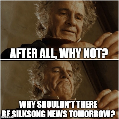surely tomorrow | AFTER ALL, WHY NOT? WHY SHOULDN'T THERE BE SILKSONG NEWS TOMORROW? | image tagged in bilbo - why shouldn t i keep it,silksong | made w/ Imgflip meme maker