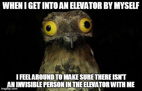 Weird Stuff I Do Potoo | WHEN I GET INTO AN ELEVATOR BY MYSELF I FEEL AROUND TO MAKE SURE THERE ISN'T AN INVISIBLE PERSON IN THE ELEVATOR WITH ME | image tagged in memes,weird stuff i do potoo | made w/ Imgflip meme maker
