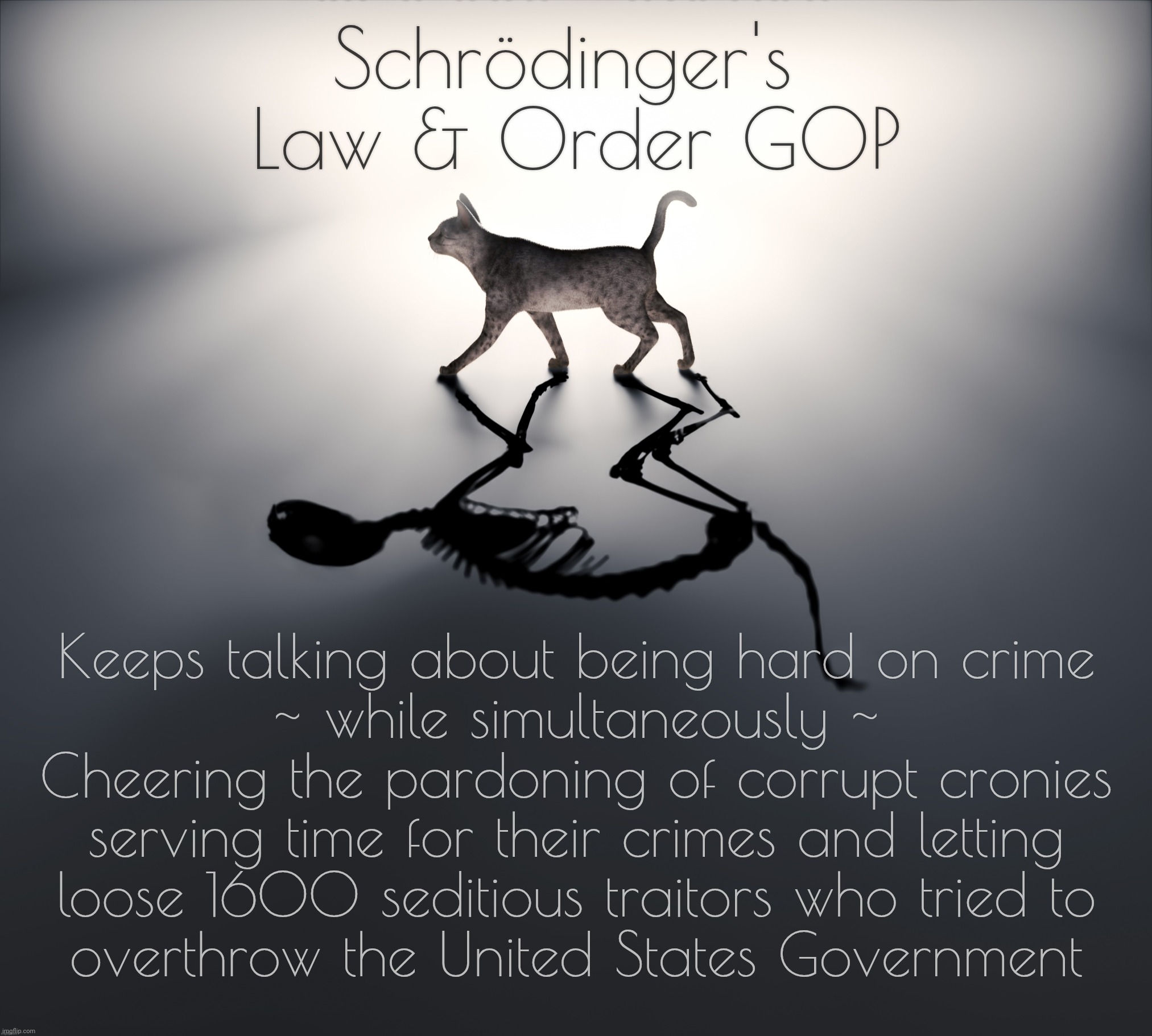 Schrodinger's Cat | Schrödinger's 
Law & Order GOP; Keeps talking about being hard on crime
~ while simultaneously ~
Cheering the pardoning of corrupt cronies serving time for their crimes and letting
loose 1600 seditious traitors who tried to
overthrow the United States Government | image tagged in schrodinger's cat | made w/ Imgflip meme maker