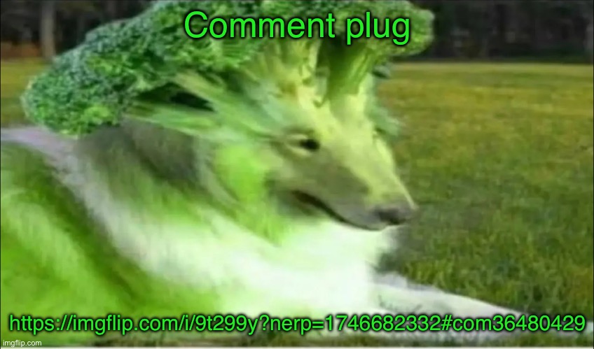 Broco dogo | Comment plug; https://imgflip.com/i/9t299y?nerp=1746682332#com36480429 | image tagged in broco dogo | made w/ Imgflip meme maker