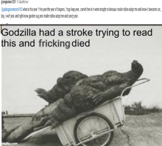 wth is bro saying??? | image tagged in godzilla had a stroke trying to read this and fricking died | made w/ Imgflip meme maker