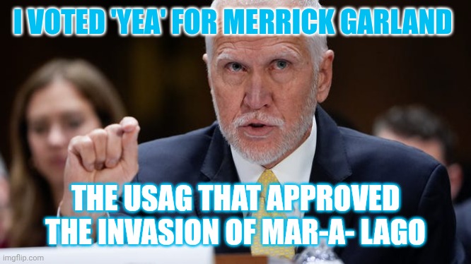 Primary All Rinos | I VOTED 'YEA' FOR MERRICK GARLAND; THE USAG THAT APPROVED THE INVASION OF MAR-A- LAGO | image tagged in senator thom tillis,rino | made w/ Imgflip meme maker