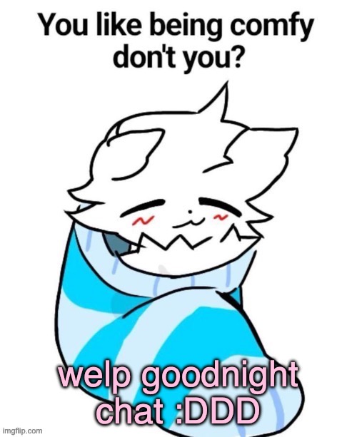 Might be on later because of my f-ed up sleep schedule but prolly not | welp goodnight chat :DDD | image tagged in you like being comfy don't you | made w/ Imgflip meme maker