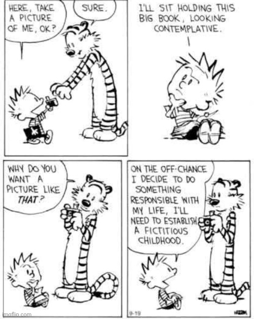 Fake Documentary? | image tagged in calvin and hobbes | made w/ Imgflip meme maker