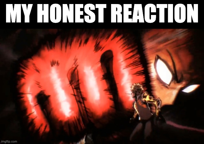 MY HONEST REACTION | image tagged in saitama genos punch | made w/ Imgflip meme maker