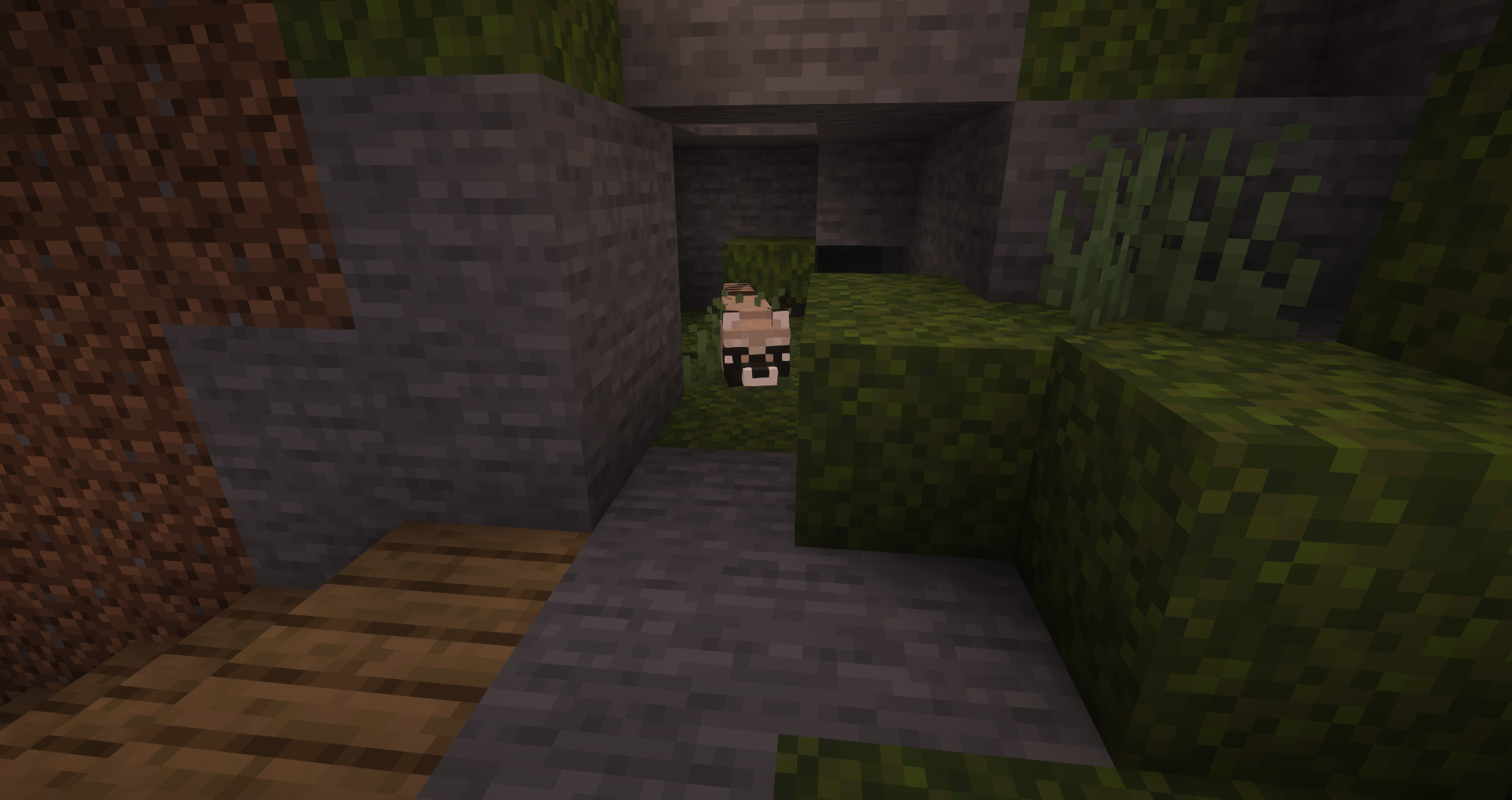 Minecraft Raccoon Blank Meme Template