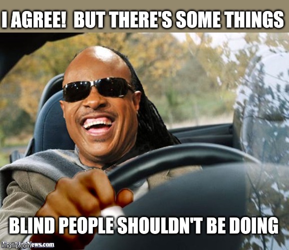 Stevie Wonder Driving | I AGREE!  BUT THERE'S SOME THINGS BLIND PEOPLE SHOULDN'T BE DOING | image tagged in stevie wonder driving | made w/ Imgflip meme maker
