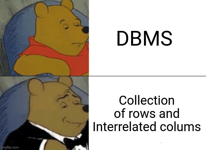 Tuxedo Winnie The Pooh Meme | DBMS; Collection of rows and Interrelated colums | image tagged in memes,tuxedo winnie the pooh | made w/ Imgflip meme maker