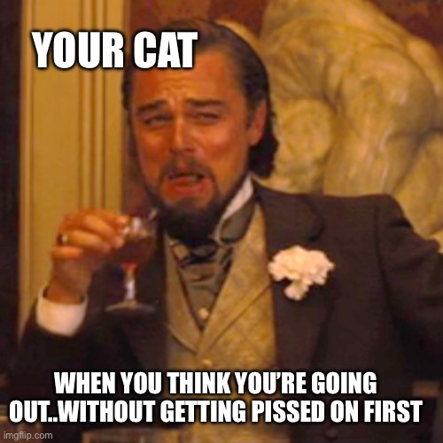 Laughing Leo | YOUR CAT; WHEN YOU THINK YOU’RE GOING OUT..WITHOUT GETTING PISSED ON FIRST | image tagged in memes,laughing leo | made w/ Imgflip meme maker