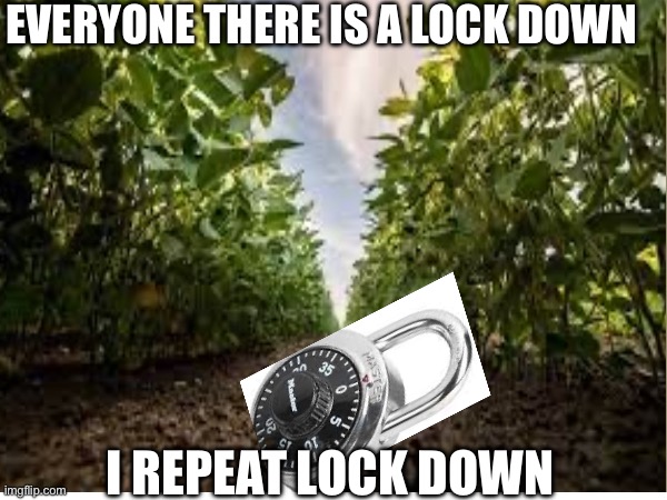 I’m not wrong tho | EVERYONE THERE IS A LOCK DOWN; I REPEAT LOCK DOWN | image tagged in dad joke | made w/ Imgflip meme maker