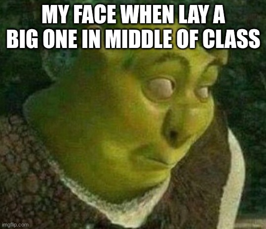 Pie Chart. | MY FACE WHEN LAY A BIG ONE IN MIDDLE OF CLASS | image tagged in oops shrek,fun,fun stream,funny,funny memes | made w/ Imgflip meme maker