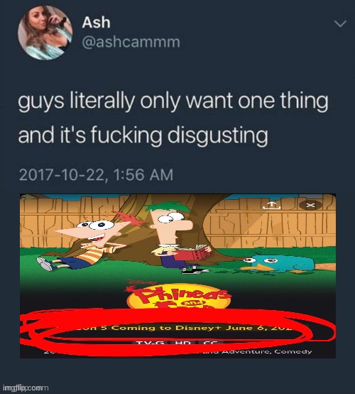 Guys literally only want one thing... | image tagged in guys literally only want one thing,phineas and ferb,men,memes,original meme | made w/ Imgflip meme maker