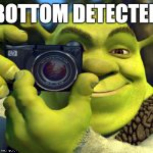 shrek shitpost 3 | image tagged in shrek shitpost 3 | made w/ Imgflip meme maker