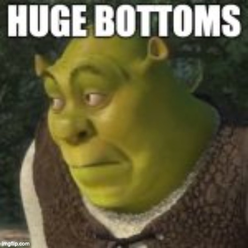 shrek shitpost 4 | image tagged in shrek shitpost 4 | made w/ Imgflip meme maker