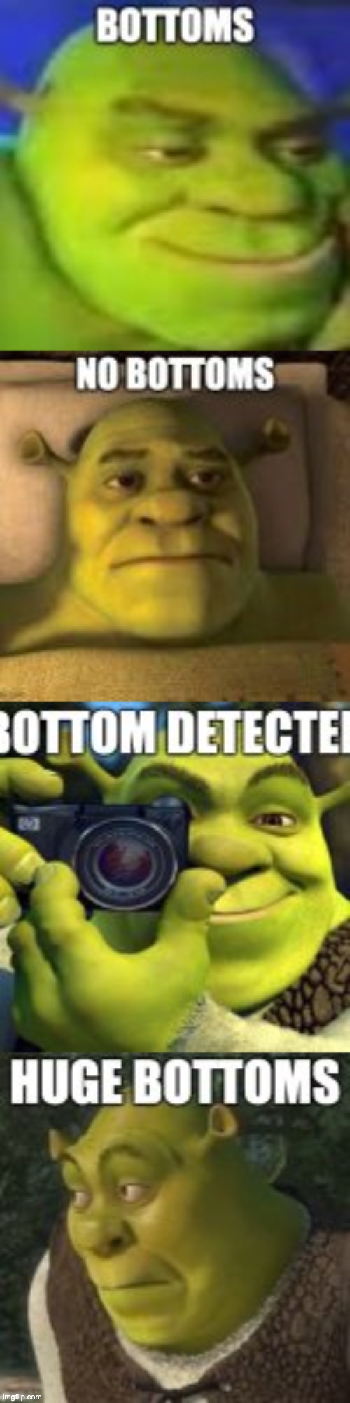 image tagged in shrek shitpost,shrek shitpost 2,shrek shitpost 3,shrek shitpost 4 | made w/ Imgflip meme maker