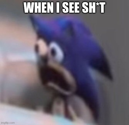 Traumatised Sonic | WHEN I SEE SH*T | image tagged in traumatised sonic | made w/ Imgflip meme maker